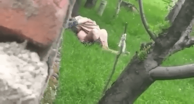 Kashmiri Couple Caught Getting Naughty Under Tree