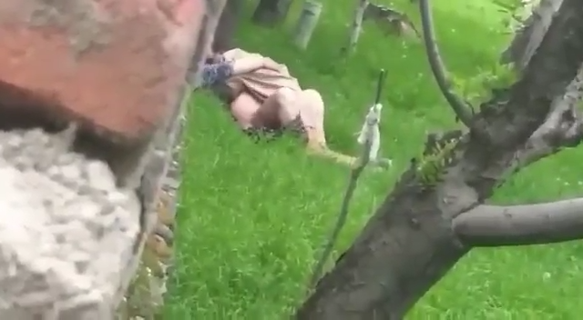 Naughty Kashmiri Couple Caught in Outdoor Tree Romp